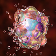 Cell Toxicity icon