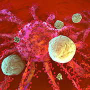 T Cells icon