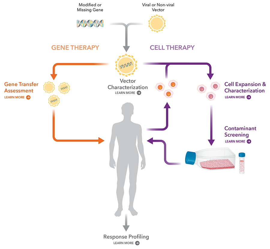 Modified or missing gene treatment delivery flow diagrams using cell-based delivery and direct delivery methods
