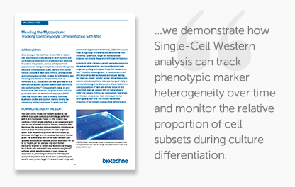 Application note on how Single-Cell Westerns and GMP-grade differentiation reagents were used to generate neural differentiations and cardiac differentiations.