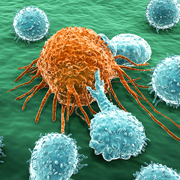 Cancer Research Multiplex Assays