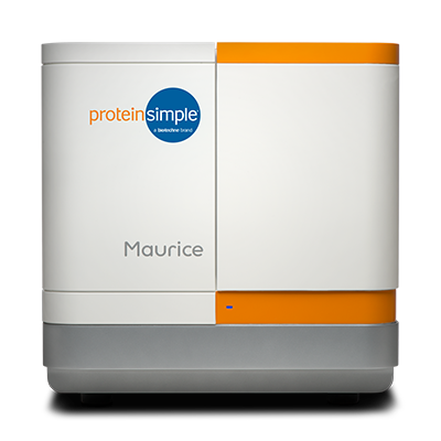 Maurice - Automated Capillary Electrophoresis from ProteinSimple