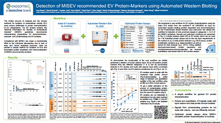Detection of mISEV Recommended EV Protein-Markers Using Automated Western Blotting Poster
