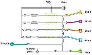 Ella assay diagram