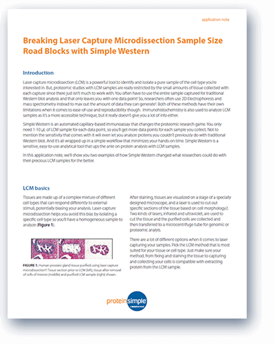  Breaking laser capture microdissection sample size road blocks with Simple Western