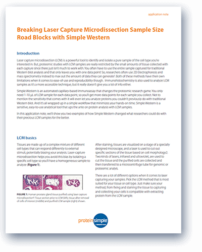 Breaking laser capture microdissection sample size road blocks with Simple Western