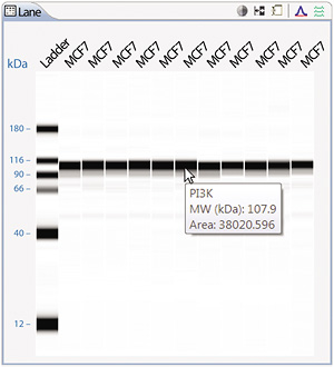 PI3K expression Results Shown in Lane View From Automated Simple Western Application