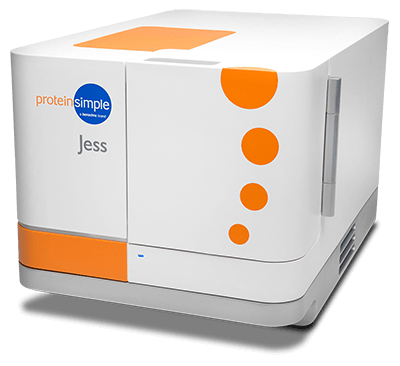 The Jess instrument by ProteinSimple allows for high-quality Western Blotting results in 3 hours which use Simple Western assays instead of traditional Western Blots