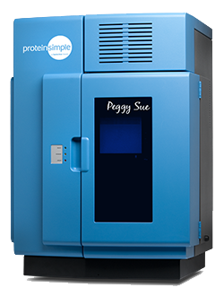 Simple Western platforms like Peggy Sue detect process-related impurities and contaminants including host cell protein (HCP), Protein A, green fluorescence protein (GFP), and bovine serum albumin (BSA).