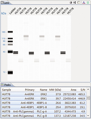 Lane View Data For Simple Western Size-based Assay