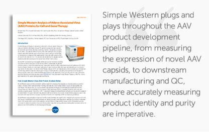 Monitor your AAV capsids during product purification with Simple Western and learn how it can be used to monitor AAV capsid proteins throughout the purification process using Simple Western™ immuno- and total protein assays