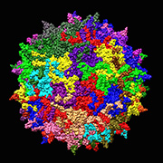 Adeno-associated virus (AAV) icon