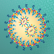 Lipid nanoparticles icon