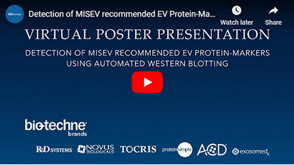 Virtual poster presentation about the detection of MSIEV recommended EV-Protein Markers Using Automated Western Blotting