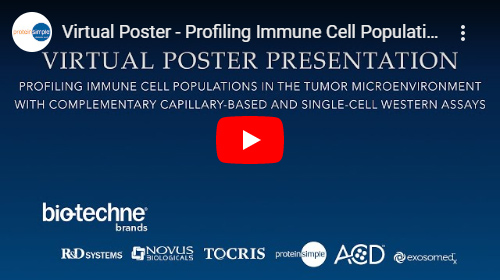 Virtual Poster Presentation on Profiling Immune Cell Populations in the Tumor Microenvironment with Complementary Capillary-based and Single-cell Westerns