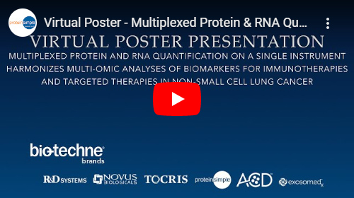 Virtual Poster Presentation on Multiplexed Protein and RNA Quantification on a Single Instrument Harmonizes Multi-omic Analyses of Biomarkers for Immunotherapies and Targeted Therapies in Non-Small Cell Lung Cancer