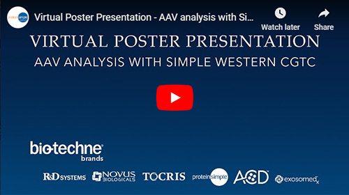 Virtual Poster Presentation on In-Capillary Immunoassay and Total Protein Detection for Adeno-Associated Virus (AAV) Proteins During Purification from Whole-Cell Lysate