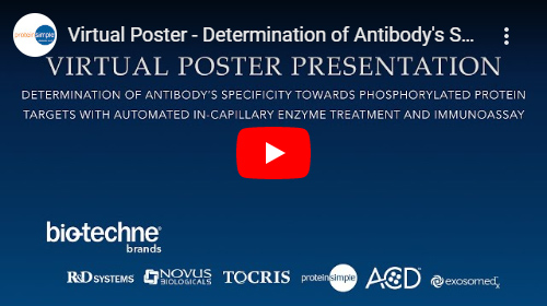 Virtual Poster Presentation on Determining Antibody Specificity Towards Phosphorylated Protein Targets with Automated In-capillary Enzyme Treatment and Immunoassay